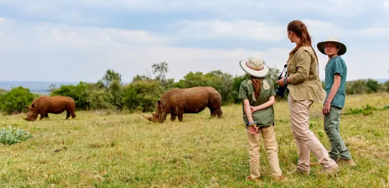 Into the Ngorongoro Crater & Beyond